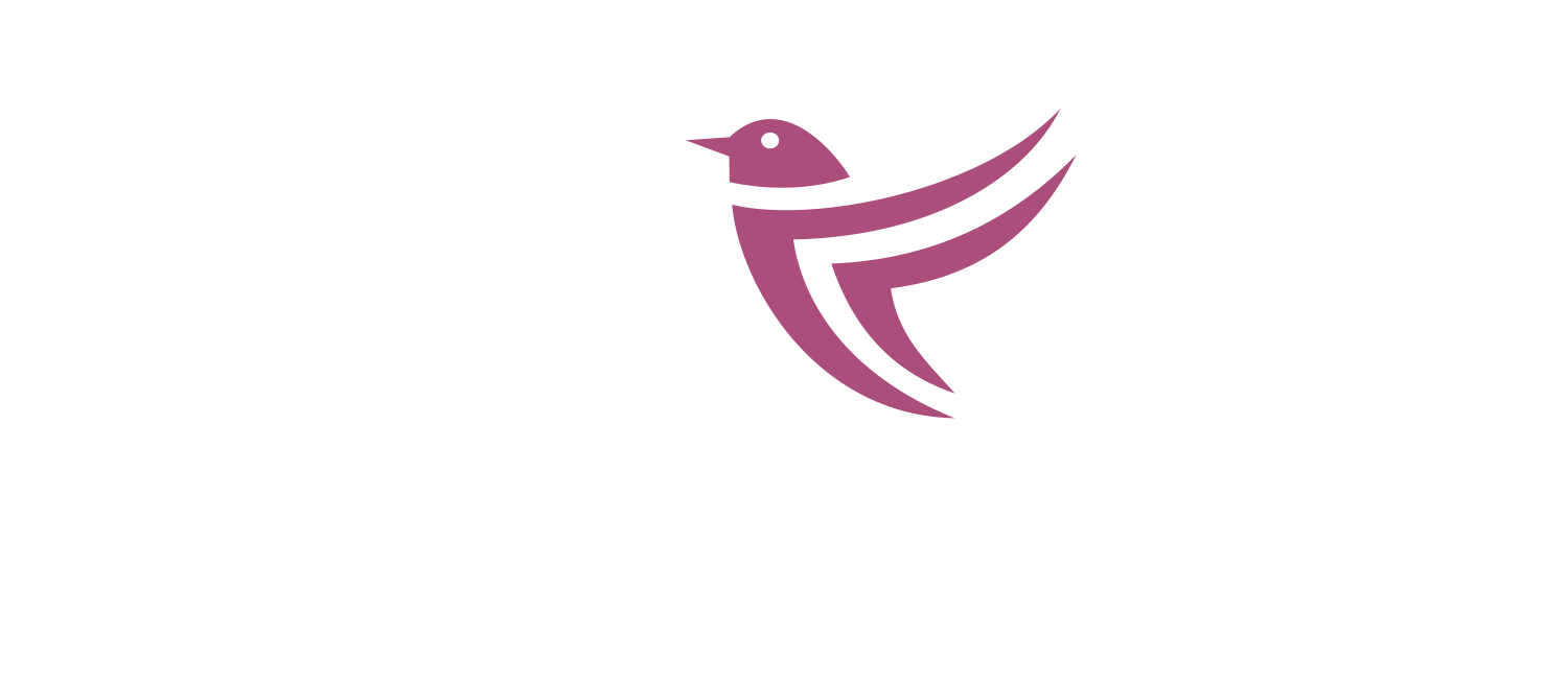 Salam Ride